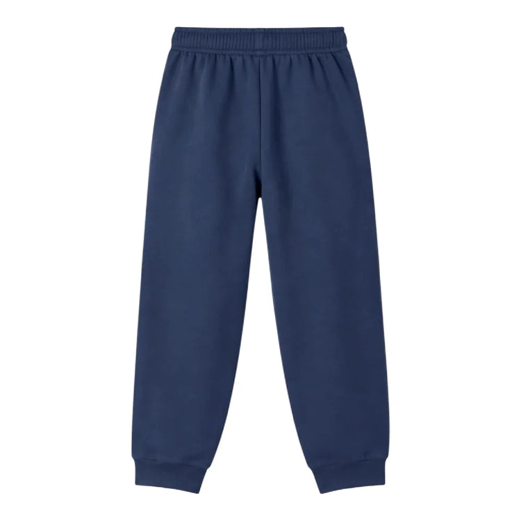 NORTH FACE Box Half Dome Regular Tapered Pant Blue NF0A8JB08K21